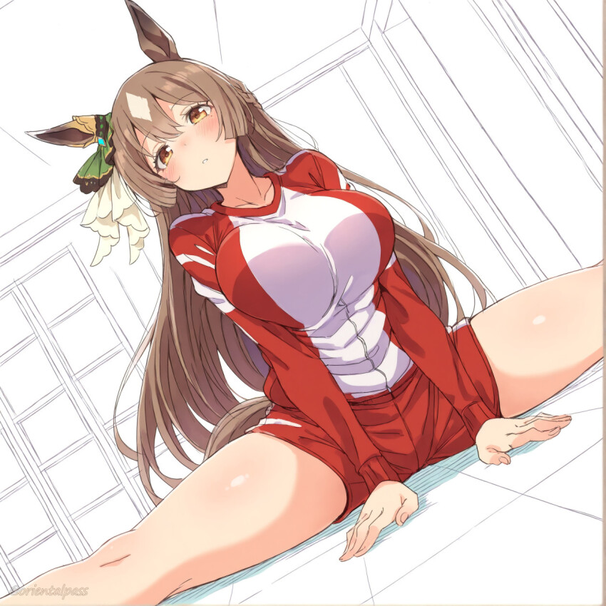 animal_ears bow braid breasts brown_hair commentary double-parted_bangs ear_ornament ear_ribbon gym_uniform half_up_braid half_updo highres horse_ears horse_girl horse_tail large_breasts long_hair multicolored_hair orientalpass satono_diamond_(umamusume) split streaked_hair tail umamusume