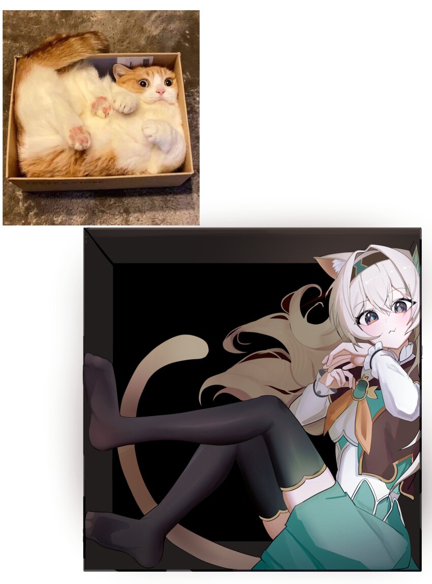 13_(jjusan13) :3 absurdres animal_ears aqua_dress black_hairband black_thighhighs box cat_ears cat_girl cat_tail collared_dress cropped_jacket dress feet firefly_(honkai:_star_rail) frilled_sleeves frills gradient_thighhighs green_pupils grey_hair hair_between_eyes hair_intakes hair_ornament hairband highres honkai:_star_rail honkai_(series) in_box in_container long_sleeves multicolored_eyes multicolored_thighhighs neckerchief orange_neckerchief simple_background tail thighhighs white_background white_sleeves