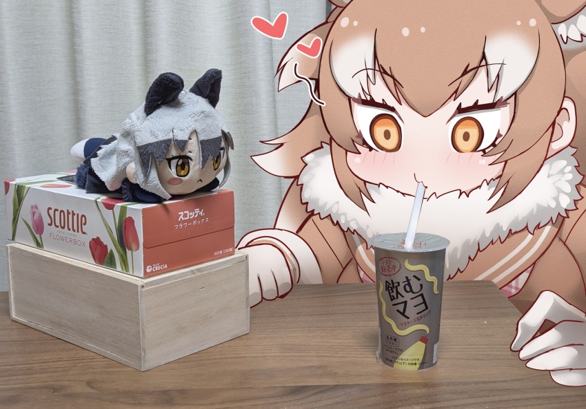2girls animal_ears blush brown_hair commentary drinking_straw drinking_straw_in_mouth fumo_(doll) fur_collar heart japanese_wolf_(kemono_friends) kemono_friends kemono_friends_3 long_hair long_sleeves mayonnaise multicolored_hair multiple_girls neckerchief photo_(medium) plaid_clothes plaid_neckerchief silver_fox_(kemono_friends) tail tanaka_kusao two-tone_hair white_hair wolf_ears wolf_girl wolf_tail