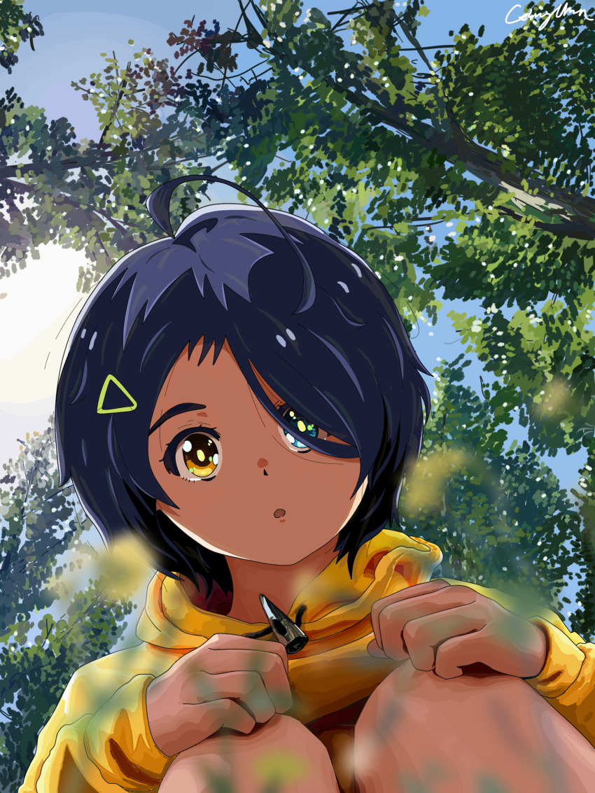 1girl absurdres aotatsu blue_eyes blue_hair branch brown_eyes child hair_ornament hairclip heterochromia highres hood hoodie ooto_ai short_hair solo wonder_egg_priority