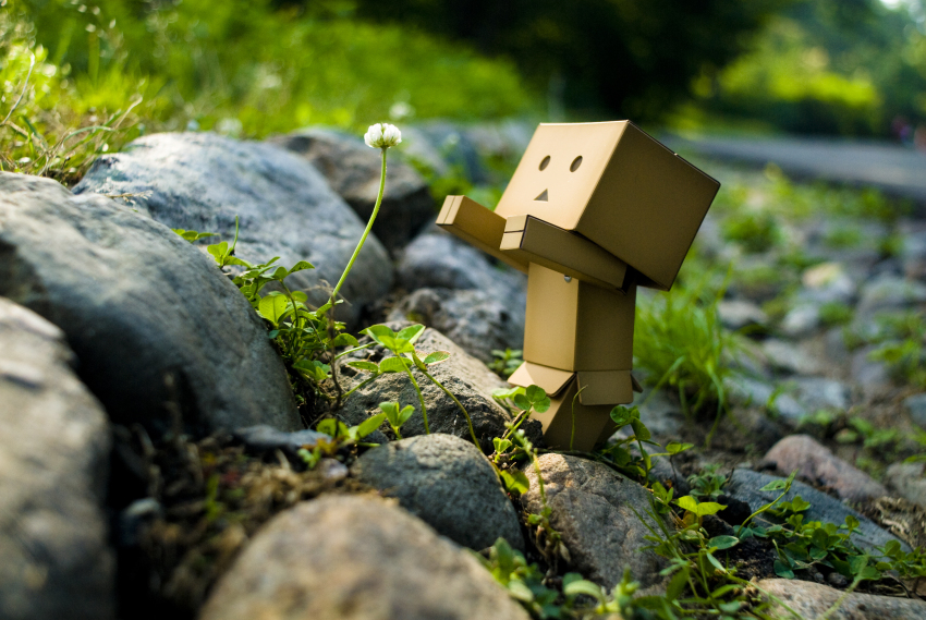 absurdres arielle_nadel azuma_kiyohiko black_eyes box cardboard_box danboo figure full_body highres leaf minimized nature no_humans outstretched_arms photo_(medium) plant toy triangle_mouth yotsubato!