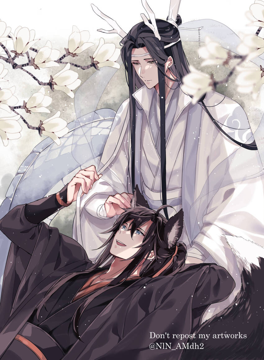 2boys absurdres ahoge animal_ear_fluff animal_ears bishounen black_hair black_hanfu black_robe blue_eyes branch chinese_clothes closed_mouth dragon_boy eastern_dragon_horns eastern_dragon_tail english_text extra_ears flower fox_boy fox_ears fox_tail hagoromo hair_between_eyes hair_ribbon hand_on_another&#039;s_head hanfu headband highres holding holding_hands holding_ribbon horns hyottokoane kemonomimi_mode lan_wangji lap_pillow light_particles long_hair long_sleeves looking_at_another lying lying_on_lap male_focus modao_zushi multiple_boys on_back open_mouth ponytail red_ribbon ribbon robe sash shawl sidelocks sitting smile tail topknot twitter_username very_long_hair watermark wei_wuxian white_flower white_hanfu white_headband white_ribbon white_robe wide_sleeves xiao_guan_(headdress) yaoi yellow_eyes
