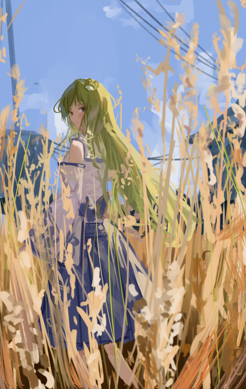 1girl absurdres blue_skirt blue_sky closed_mouth commentary_request day detached_sleeves frog_hair_ornament green_eyes green_hair hair_ornament highres kochiya_sanae long_hair long_sleeves looking_at_viewer looking_back outdoors power_lines shirt skirt sky sleeveless sleeveless_shirt smile solo standing touhou utility_pole vanilla_flan very_long_hair wheat white_shirt