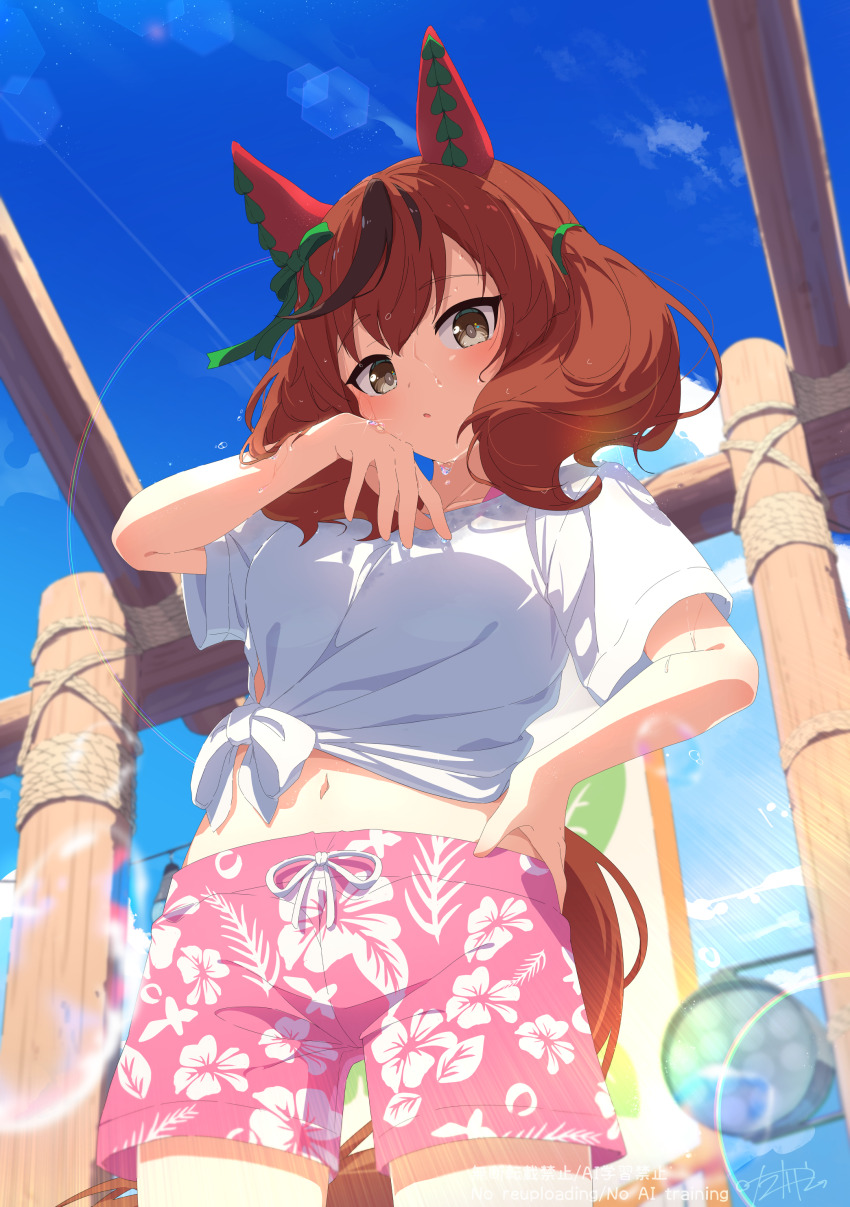1girl absurdres animal_ears blush breasts brown_eyes collarbone commentary_request gaze_on_me!_outfit_(umamusume) hair_between_eyes hair_ornament highres horse_ears horse_girl horse_tail lens_flare looking_at_viewer medium_breasts medium_hair navel nice_nature_(umamusume) red_hair sagen shorts sky solo tail umamusume wet