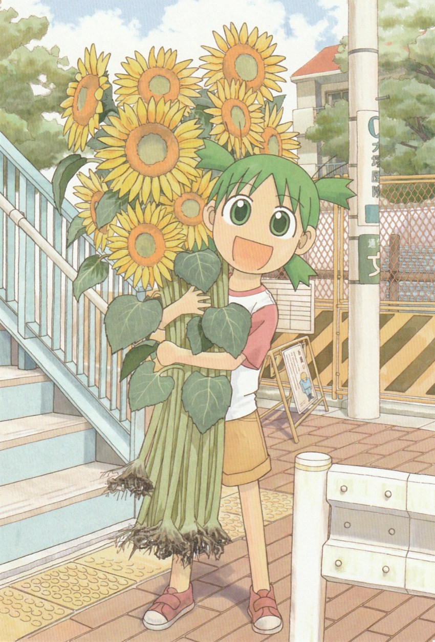1girl azuma_kiyohiko flower green_eyes green_hair koiwai_yotsuba official_art open_mouth red_footwear shirt shorts solo sunflower volume_cover yotsubato!