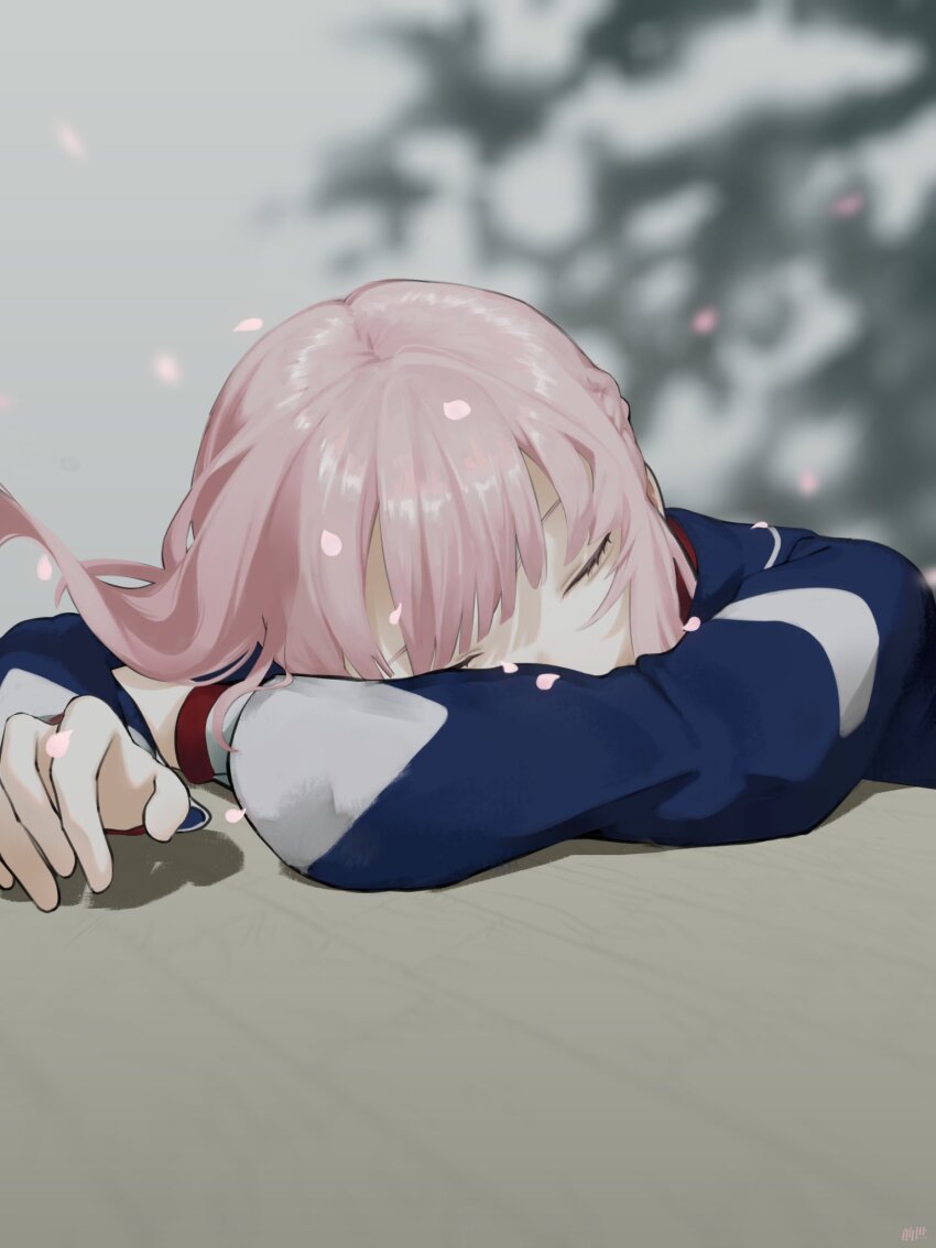 1girl arms_on_table blue_jacket blurry blurry_background cherry_blossoms closed_eyes falling_petals floating_hair head_on_table highres jacket kaf_(kamitsubaki_studio) kamitsubaki_studio ku0r00se long_hair long_sleeves petal_on_head petals pink_hair sleeping solo upper_body virtual_youtuber