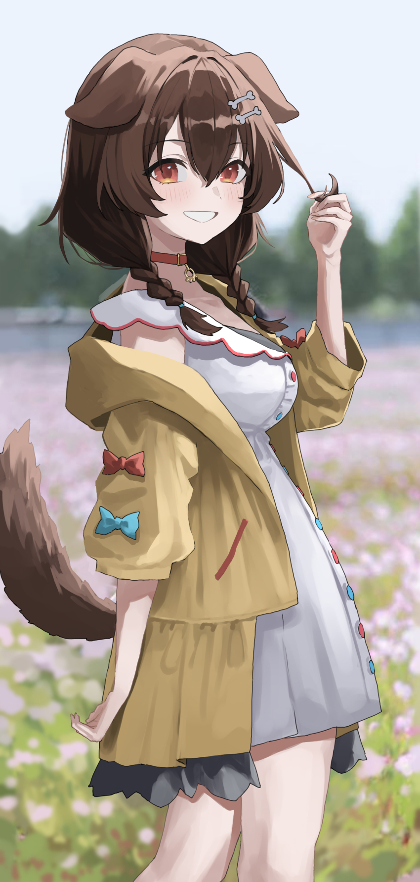 1girl absurdres animal_ears art_mu belt_collar blurry blurry_background bone_hair_ornament bow braid brown_hair collar dog_ears dog_girl dog_tail dress hair_ornament hand_up highres hololive inugami_korone jacket long_sleeves looking_at_viewer medium_hair open_clothes open_jacket open_mouth outdoors playing_with_own_hair smile solo standing tail twin_braids virtual_youtuber white_dress