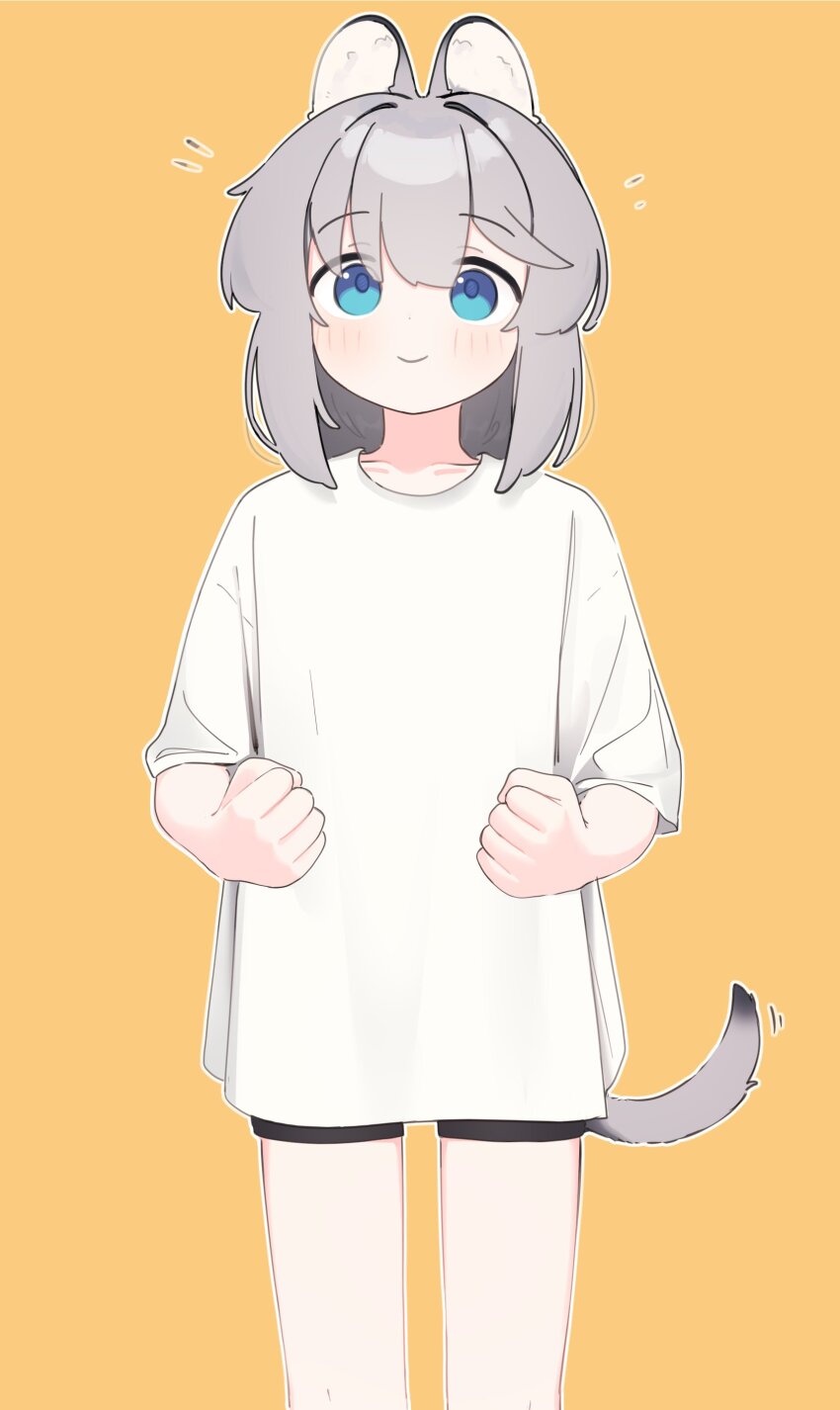 1girl absurdres animal_ear_fluff animal_ears black_shorts blue_eyes blush brown_background closed_mouth collarbone commentary grey_hair hair_between_eyes highres looking_at_viewer notice_lines original riya_(01214) shirt short_shorts short_sleeves shorts simple_background smile solo standing symbol-only_commentary tail white_shirt