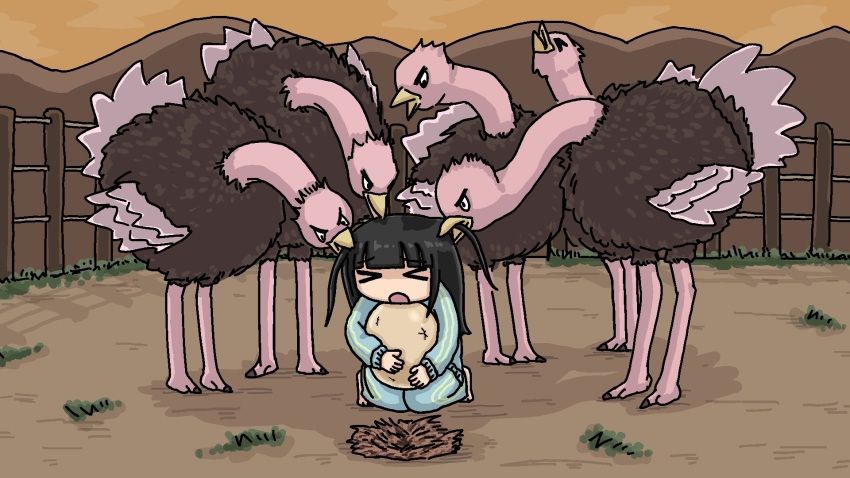 &gt;_&lt; 1girl barefoot bird black_hair blue_jacket blue_pants blunt_bangs closed_eyes cloud egg facing_viewer fence fuchina_(fucinami) full_body funo-chan_(fuchina) grabbing_another&#039;s_hair grass highres holding holding_egg hugging_object jacket long_hair long_sleeves looking_at_another mountainous_horizon nest on_ground open_mouth orange_sky original ostrich outdoors pants pecking sitting sky solo track_suit
