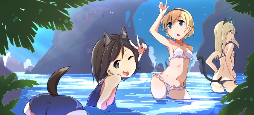 3girls animal_ears bikini blonde_hair blue_eyes braid braided_bun brown_eyes brown_hair cat_ears cat_tail commentary_request green_eyes hair_bun hairband heinrike_prinzessin_zu_sayn-wittgenstein highres hirschgeweih_antennas kuroda_kunika long_hair multiple_girls noble_witches one_eye_closed pegina rosalie_de_hemricourt_de_grunne short_hair swimsuit tail white_bikini world_witches_series