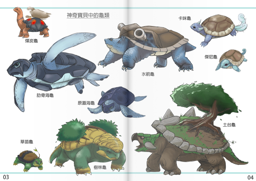 blastoise carracosta gen_1_pokemon gen_4_pokemon grotle pokemon pokemon_(creature) realistic squirtle tirtouga torkoal torterra turtle turtwig wartortle