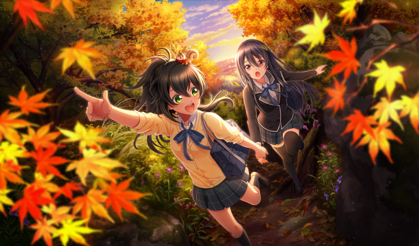2girls :d :o akino_komugi arm_up autumn autumn_leaves black_footwear black_hair black_jacket black_socks black_thighhighs blue_ribbon blurry cardigan cinderella_series cloud collared_shirt depth_of_field dutch_angle falling_leaves game_cg green_eyes grey_skirt hachigatsu_no_cinderella_nine hair_between_eyes high_ponytail highres holding_hands jacket leaf leaf_on_head light_particles loafers long_hair long_sleeves looking_at_another maple_leaf multiple_girls neck_ribbon non-web_source official_art open_mouth outdoors outstretched_arm plaid_clothes plaid_skirt pleated_skirt pointing pointing_forward ponytail red_eyes ribbon rock satogahama_school_uniform school_uniform shinonome_ryo shirt shoes skirt sky smile socks teeth thighhighs tree upper_teeth_only very_long_hair walking white_shirt winter_uniform yellow_cardigan