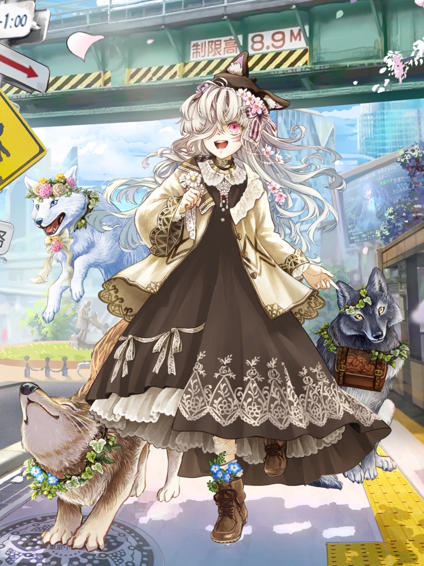1girl :d angora_hamasaki animal_ear_headwear animal_ears ankle_boots ankle_flower bag beret billboard black_dress black_hat blue_flower boots bow brown_boots brown_bow brown_choker cherry_blossoms choker corsage dairoku_ryouhei day dress dress_ribbon facial_mark fake_animal_ears falling_petals flower flower_choker flower_wreath full_body hair_bow hair_flower hair_ornament hair_over_one_eye hand_up hat highres jacket lace-trimmed_sleeves lace-up_boots lace_trim leaf leaf_necklace lola_endymion long_hair long_sleeves looking_ahead nemophila_(flower) one_eye_covered open_clothes open_jacket open_mouth petals peter_pan_collar pink_bow pink_eyes pink_flower print_dress ribbon road road_sign sidewalk sign sleeve_cuffs smile solo standing standing_on_one_leg street striped_bow teeth tilted_headwear upper_teeth_only wavy_hair white_flower white_hair white_jacket white_ribbon wolf wolf_ears