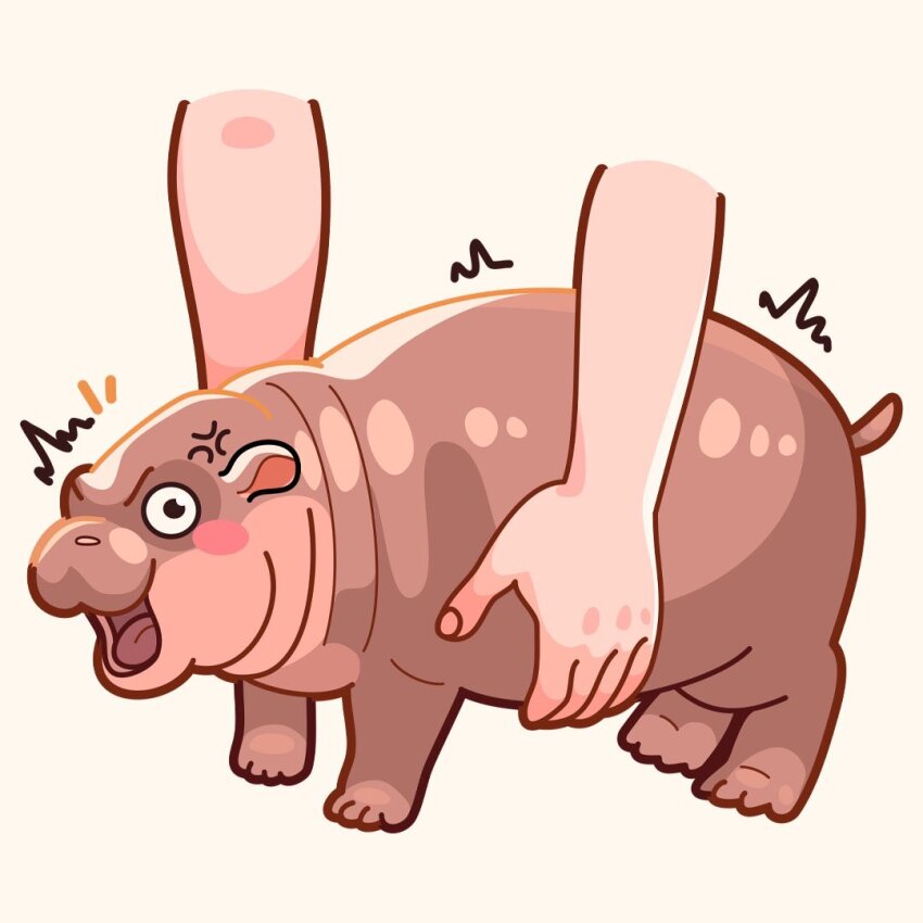 anger_vein animal black_eyes blush commentary english_commentary hippopotamus holding holding_animal looking_at_viewer moo_deng nonagallery_art notice_lines open_mouth real_life v-shaped_eyebrows