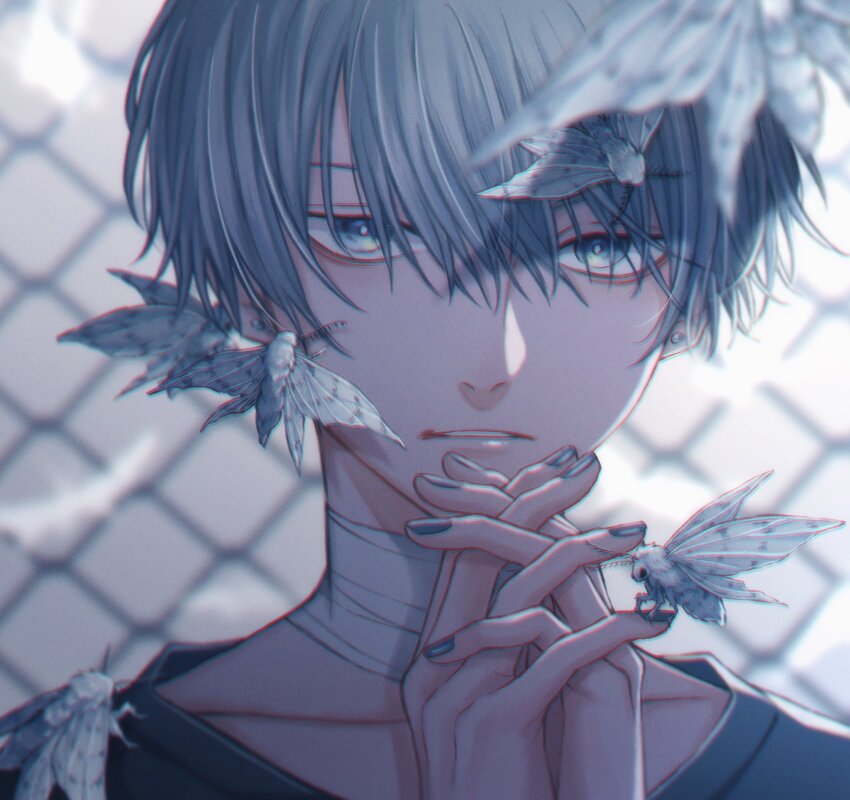 1boy black_shirt bug collarbone green_eyes grey_hair grey_nails hair_between_eyes highres holding_own_hand insect lattice looking_at_viewer male_focus moth moxamog nose original shirt short_hair