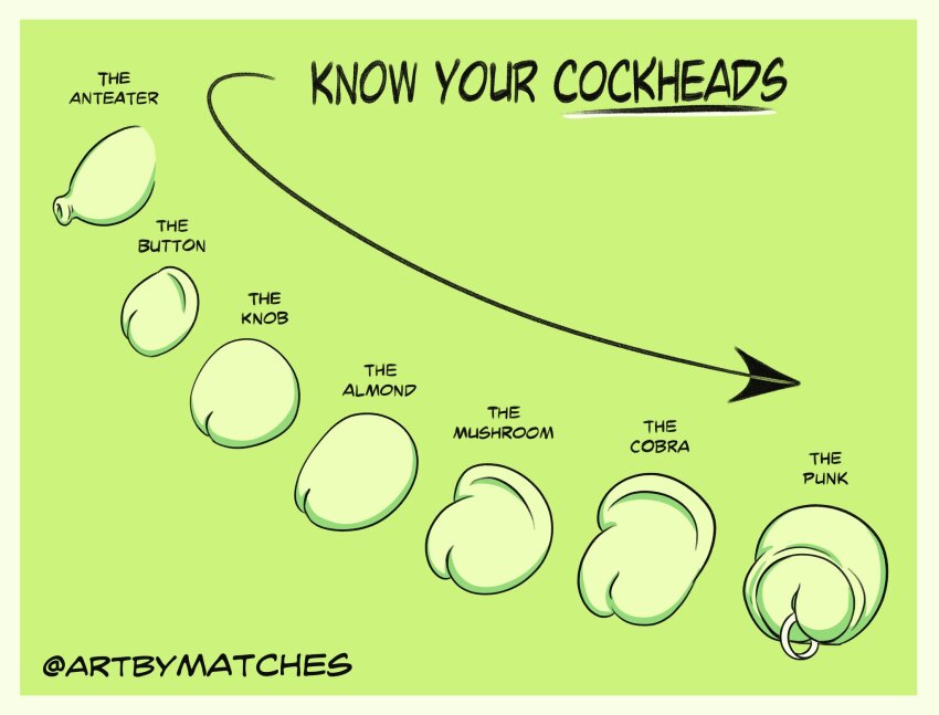 artbymatches artist_name english_text glans_piercing green_background highres original penis penis_chart piercing