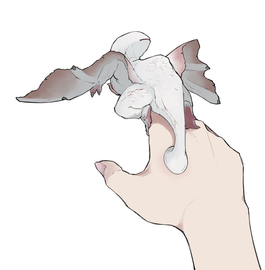 animal_focus dragon from_above full_body highres khezu minimized monster monster_hunter_(series) no_eyes out_of_frame pov pov_hands simple_background small_dragon taneimo_drop white_background wings