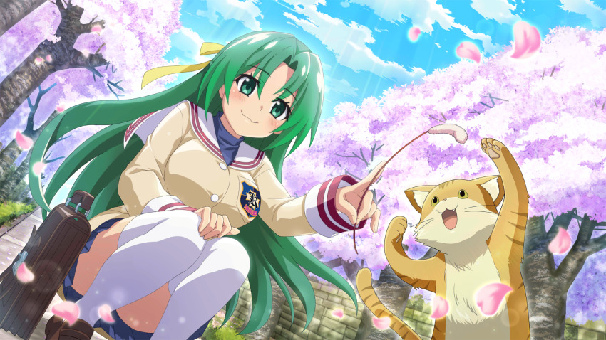 1girl artist_request bag blue_skirt blue_sky breasts brown_fur brown_jacket cat cat_teaser cherry_blossoms clannad cloud convenient_leg crossover fangs game_cg green_eyes green_hair hair_ribbon highres higurashi_no_naku_koro_ni higurashi_no_naku_koro_ni_mei hikarizaka_private_high_school_uniform holding_cat_teaser jacket long_hair long_sleeves non-web_source official_art petals pink_petals ribbon school_bag school_uniform skirt sky smile sonozaki_shion squatting thighhighs tree white_thighhighs yellow_ribbon