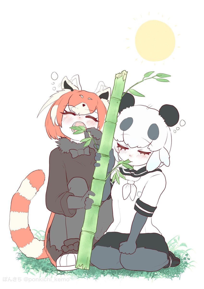2girls animal_ears bamboo black_bow black_bowtie black_fur black_gloves black_hair black_legwear black_skirt black_sweater blouse blush bow bowtie closed_eyes commentary_request ear_wiggle eating elbow_gloves extra_ears fangs fur_collar giant_panda_(kemono_friends) gloves highres kemono_friends kemono_friends_2 lesser_panda_(kemono_friends) long_sleeves multicolored_hair multiple_girls neckerchief open_mouth panda_ears panda_girl pantyhose pleated_skirt pokichi_(ponkichi_kemo) red_hair sailor_collar seiza shirt short_hair sitting skirt sleeping sleepy sun sweater two-tone_hair white_hair white_neckerchief white_shirt