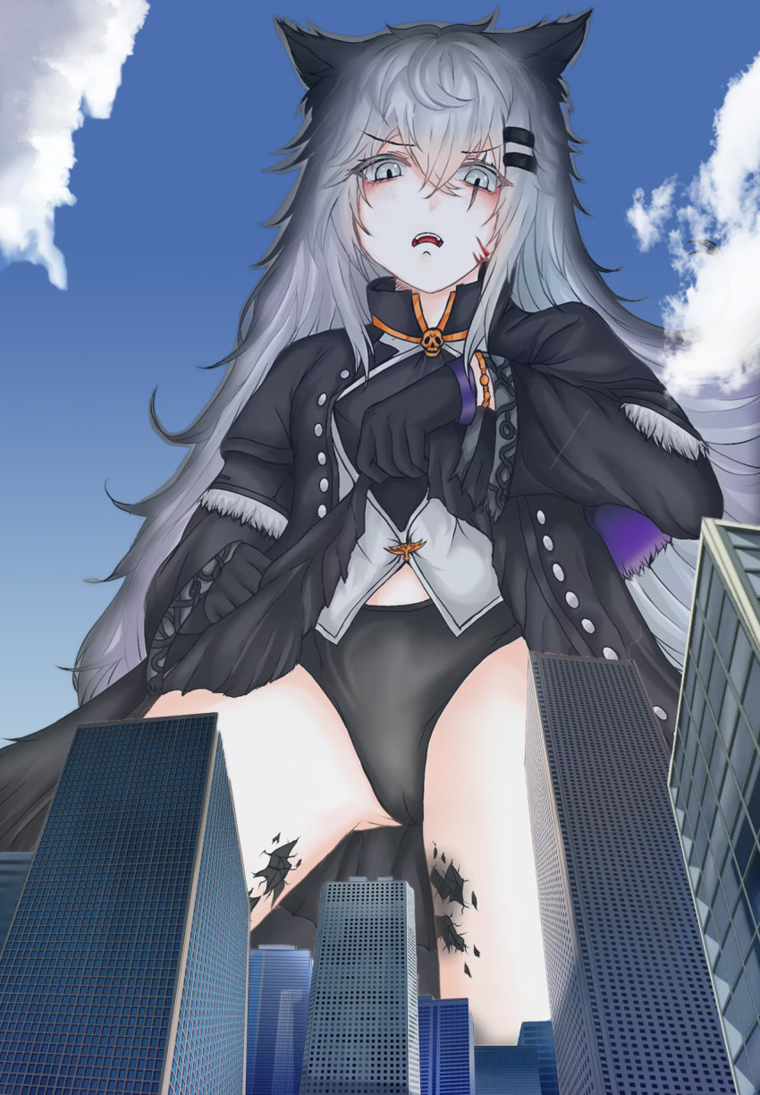 1girl animal_ears arknights black_coat black_gloves black_jacket black_panties blue_sky building city clothes_lift cloud coat day giant giantess gloves grey_eyes grey_hair hair_ornament hairclip highres jacket lappland_(arknights) lappland_(refined_horrormare)_(arknights) lifting_own_clothes long_hair long_sleeves looking_at_viewer looking_down material_growth ningning_0721 official_alternate_costume oripathy_lesion_(arknights) outdoors panties scar scar_across_eye scar_on_face skirt skirt_lift sky skyscraper solo underwear wolf_ears wolf_girl