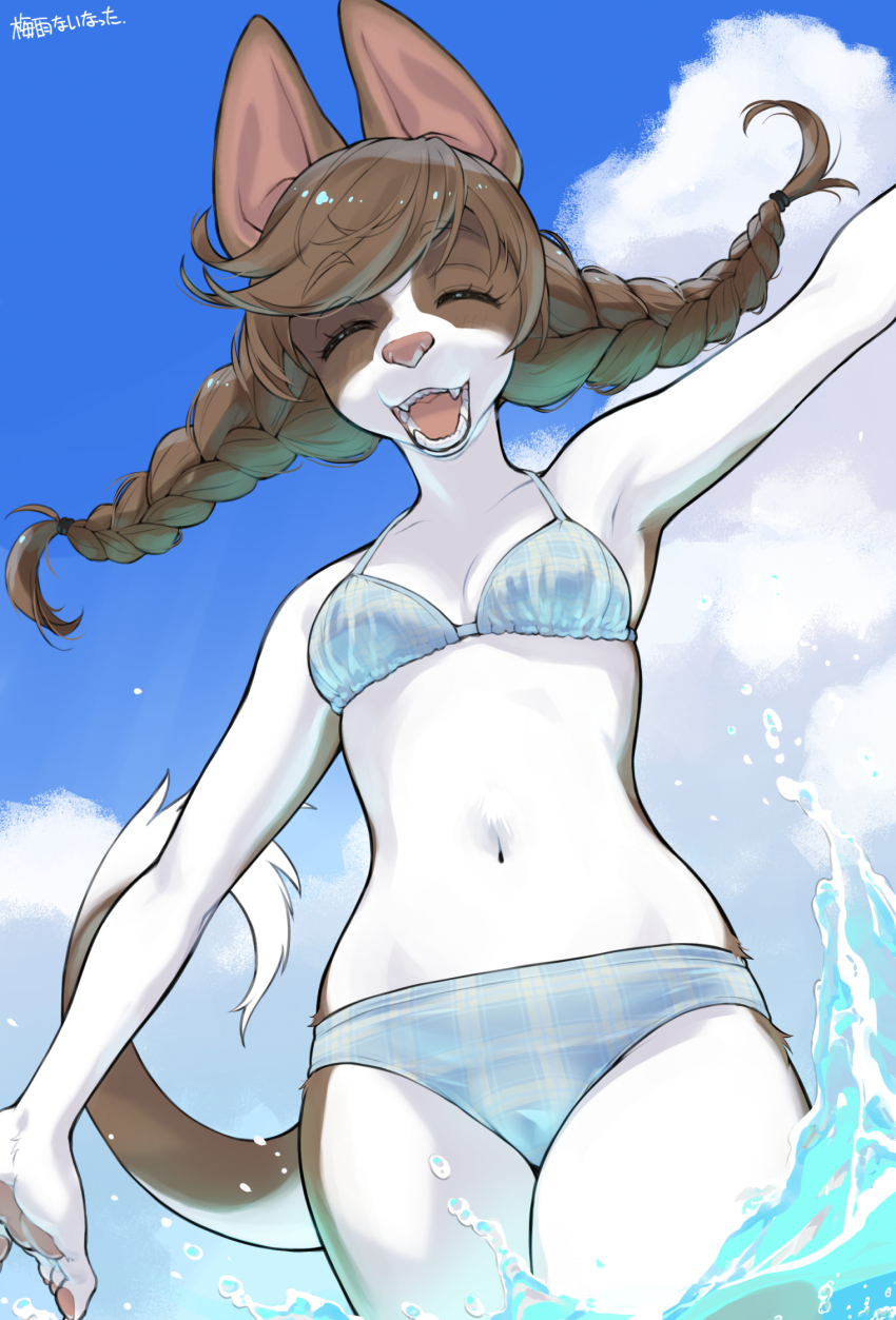 1girl animal_ears armpits bikini blue_bikini blue_sky braid breasts brown_hair cloud day dog_ears dog_girl dog_tail fangs furry furry_female highres kikurage_(crayon_arts) long_hair navel ocean open_mouth original outdoors partially_submerged sky small_breasts solo summer swimsuit tail teeth translation_request twin_braids