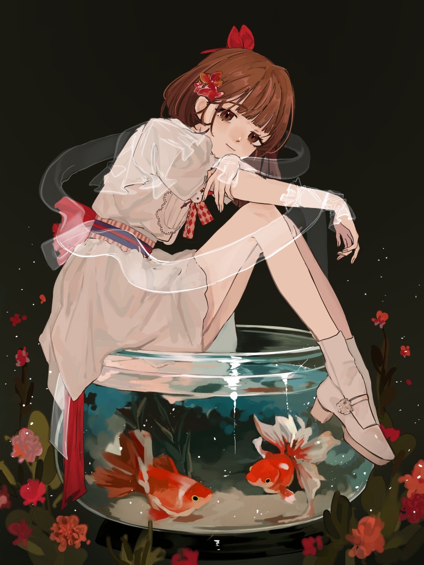 1girl absurdres alternate_costume arm_on_knee black_background bob_cut bow brown_eyes brown_hair dress fish fish_tank flower from_side full_body goldfish hair_bow hair_flower hair_ornament highres ill_(no0408_bv) knees_to_chest looking_at_viewer mary_janes puffy_short_sleeves puffy_sleeves red_bow reverse:1999 satsuki_(reverse:1999) shoes short_dress short_hair short_sleeves sitting smile socks solo water white_dress white_shoes white_socks