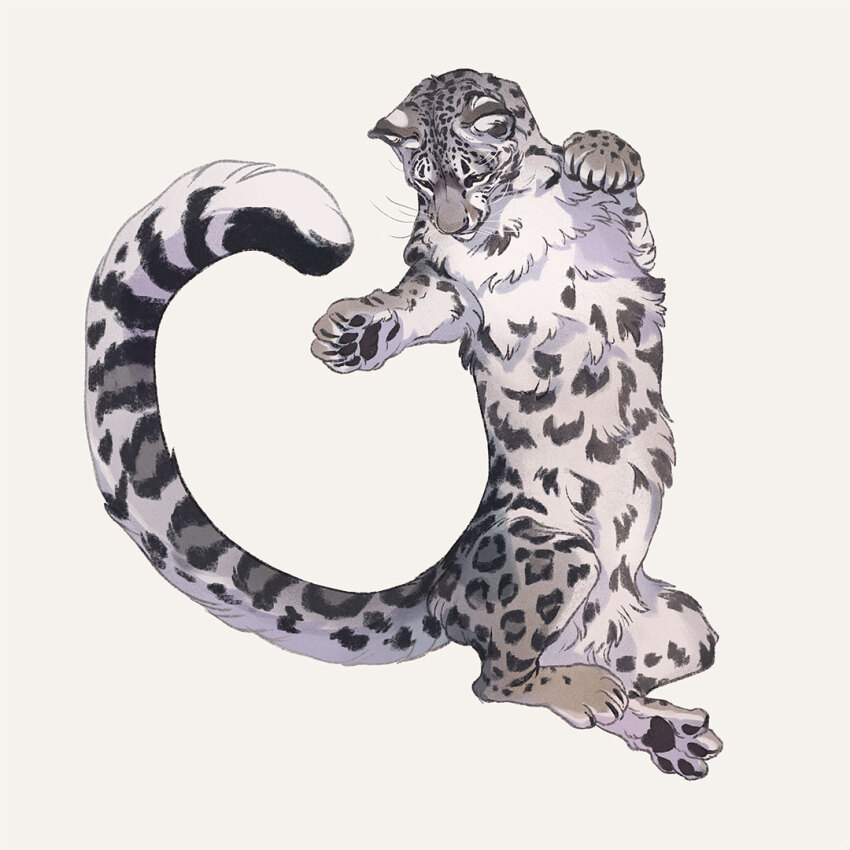 animal animal_focus full_body jumping looking_down no_humans norapotwora original simple_background snow_leopard white_background