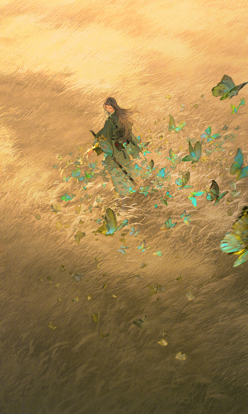 1boy bag black_hair bug butterfly chinese_clothes field from_above hanfu highres ibuki_satsuki insect long_hair male_focus original outdoors solo sword weapon yellow_theme