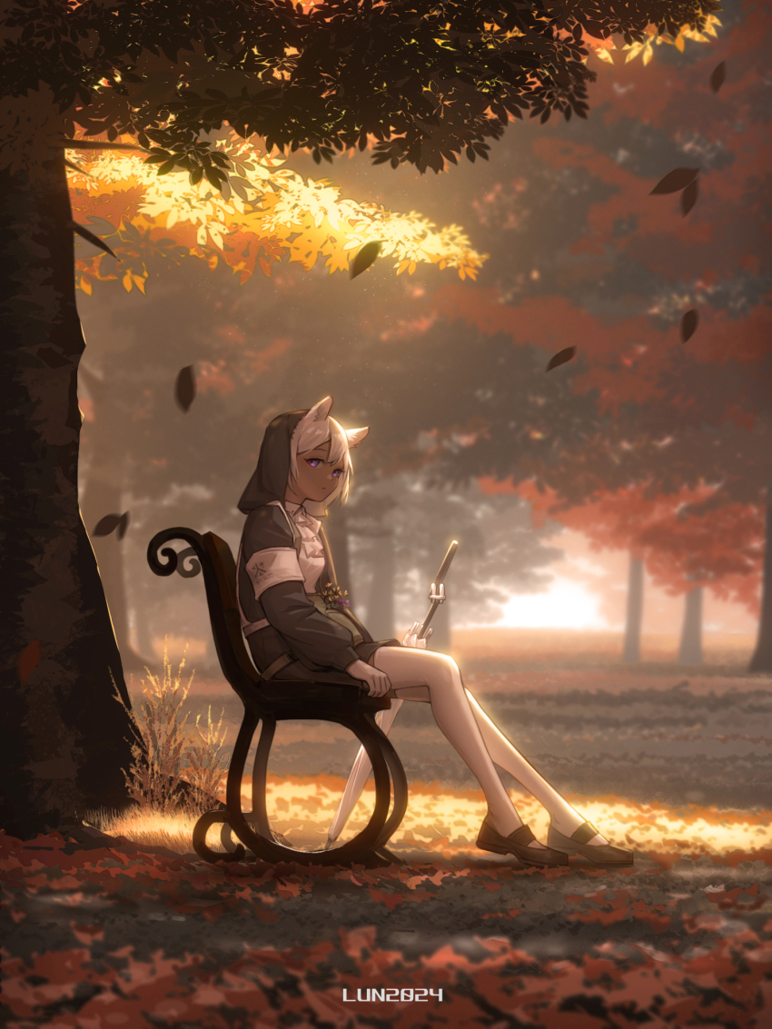 1girl arknights armband artist_name autumn autumn_leaves bench black_jacket black_skirt brown_shoes camel_ears camel_girl camel_tail chinese_commentary closed_mouth commentary_request dark-skinned_female dark_skin dated dot_mouth expressionless falling_leaves flower frilled_shirt frills from_side full_body grass highres hood hood_up jacket leaf light_rays looking_at_viewer looking_to_the_side lunn on_bench open_clothes open_jacket outdoors pantyhose park_bench purple_eyes purple_flower shirt shoes sitting skirt solo sunbeam sunlight tree tuye_(arknights) umbrella white_armband white_pantyhose white_shirt yellow_flower