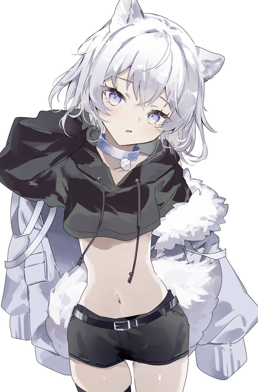 1girl absurdres animal_ears belt black_hoodie black_shorts commentary cowboy_shot cropped_hoodie dog_ears dog_girl dog_tail fur-trimmed_jacket fur_trim highres hood hoodie jacket looking_at_viewer medium_hair midriff navel open_mouth original short_shorts shorts simple_background solo sorani_(kaeru0768) symbol-only_commentary tail white_background white_hair white_jacket