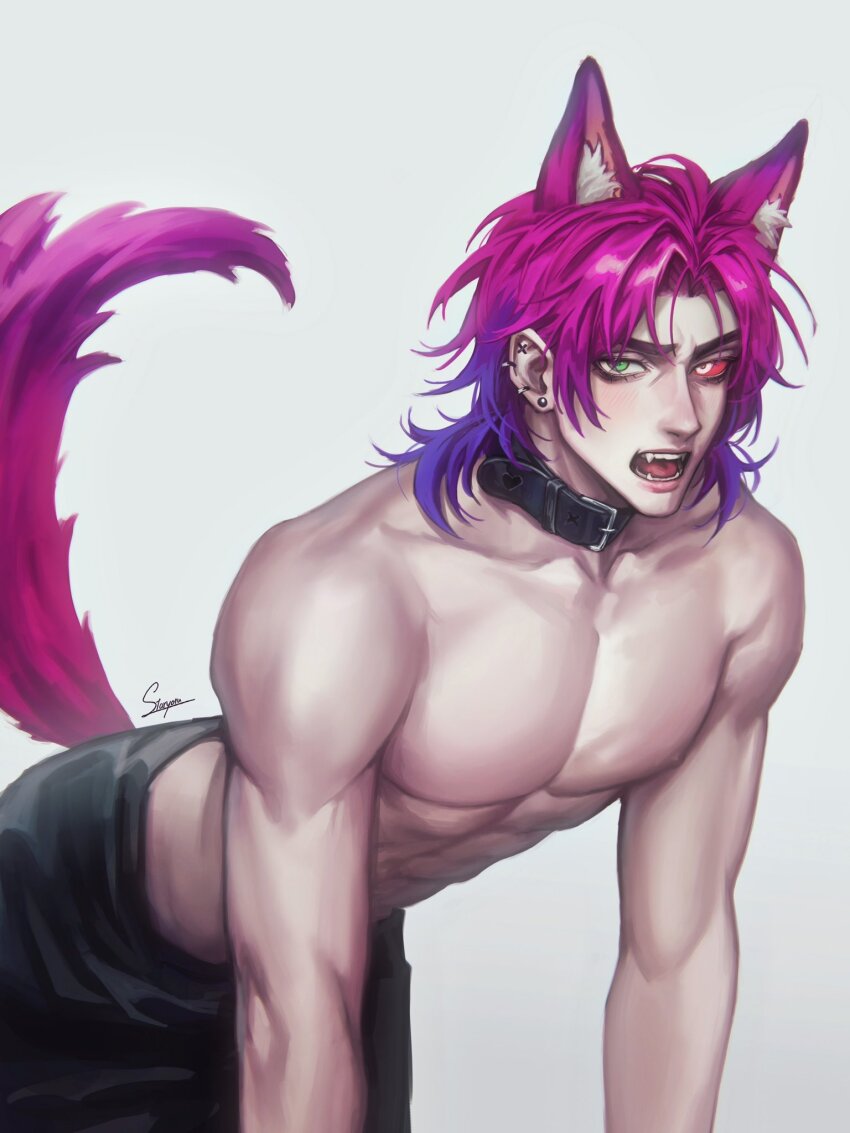 1boy abs all_fours animal_ears bare_shoulders black_choker black_pants choker colored_sclera commentary ear_piercing earrings english_commentary fangs heartsteel_kayn heterochromia highres jewelry kayn_(league_of_legends) league_of_legends leather leather_choker looking_at_viewer male_focus multiple_piercings open_mouth pants pectorals piercing purple_fur purple_hair red_sclera simple_background solo staryoruu tail tongue topless_male white_background