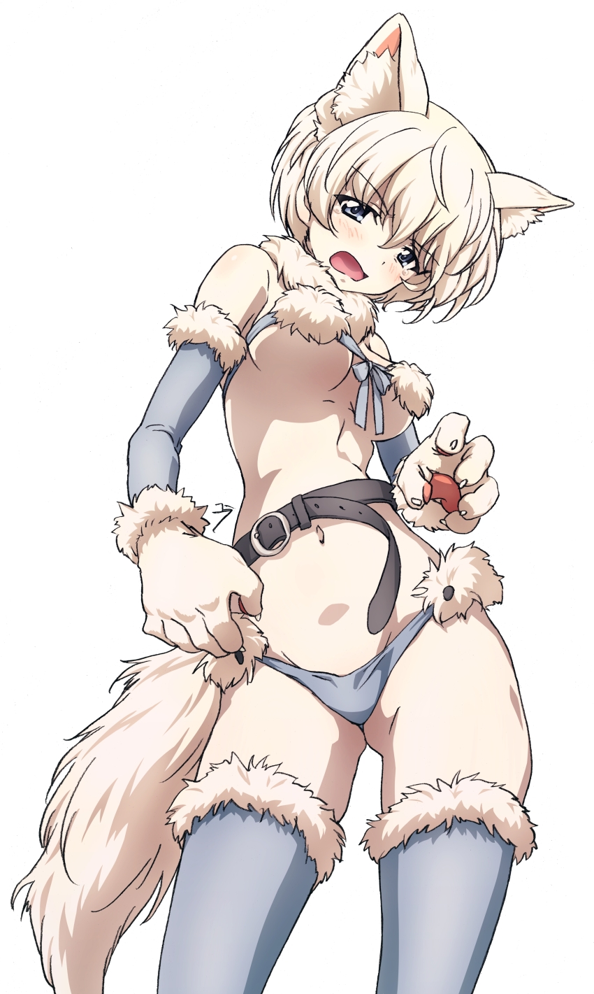 1girl absurdres animal_ears animal_hands bad_source bare_shoulders belt bikini blue_eyes blush breasts detached_sleeves embarrassed erakin fur-trimmed_sleeves fur-trimmed_thighhighs fur_collar fur_trim girls_und_panzer gloves groin highres looking_at_viewer medium_breasts navel open_mouth paw_gloves revealing_clothes short_hair solo swimsuit tail tearing_up thighhighs white_hair youko_(girls_und_panzer)