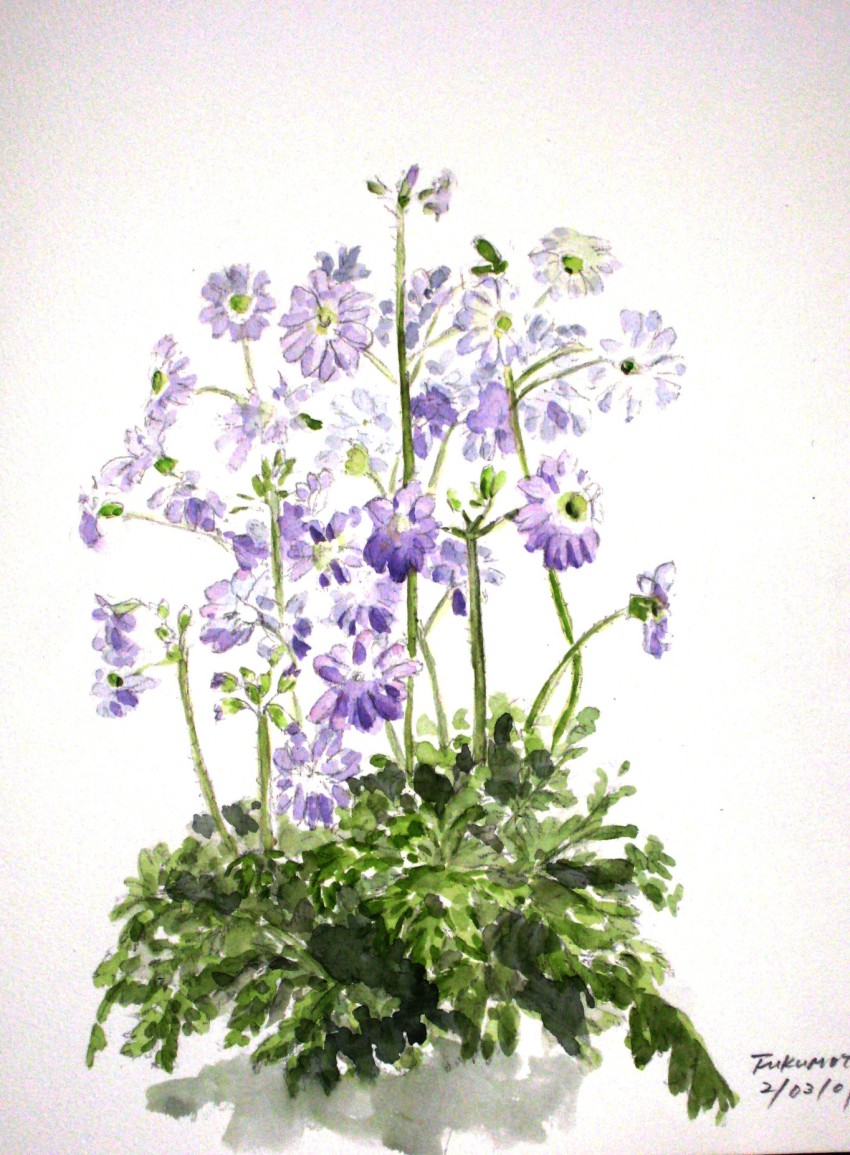 flower fukumoto highres original painting_(medium) plant simple_background traditional traditional_media watercolor_(medium)