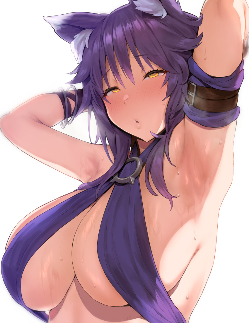 1girl absurdres animal_ear_fluff animal_ears arm_strap armpits arms_behind_head arms_up bikini blush bracelet breasts criss-cross_halter halterneck highres jewelry kurowa large_breasts looking_at_viewer makoto_(princess_connect!) makoto_(summer)_(princess_connect!) medium_hair open_mouth princess_connect! purple_bikini purple_hair sidelocks solo swimsuit wet white_background wolf_ears wolf_girl yellow_eyes
