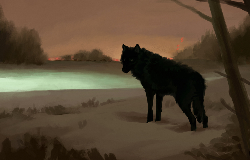 animal animal_focus black_fur blank_eyes blurry blurry_background cloud cloudy_sky commentary dappermouth dog english_commentary evening glowing green_light grey_eyes highres horizon horror_(theme) landscape looking_at_viewer no_humans orange_sky original outdoors realistic scenery sketch sky snow standing tree winter wolf