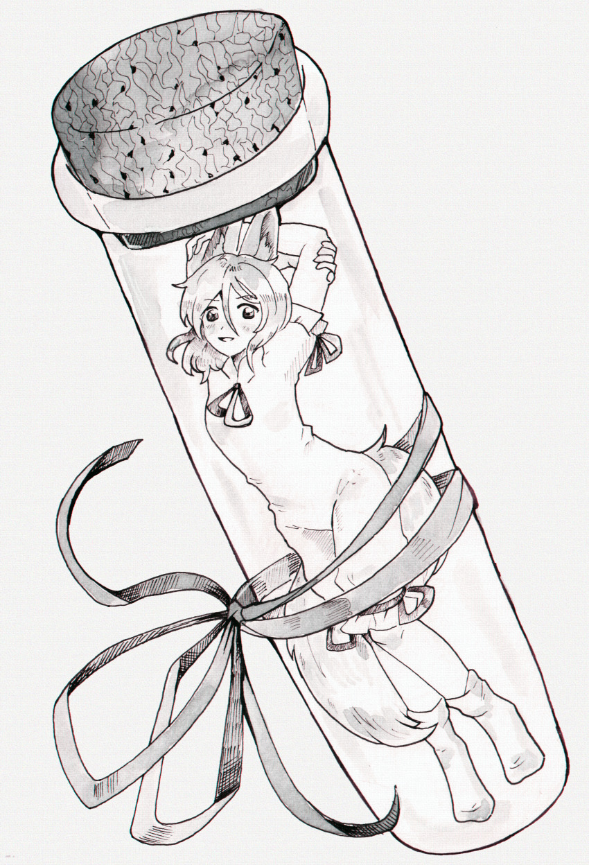 1girl absurdres animal_ears arms_up cork dungeon_toaster fox_ears fox_girl fox_tail full_body greyscale hand_on_own_arm highres inktober kudamaki_tsukasa medium_hair monochrome ribbon romper simple_background socks tail test_tube touhou traditional_media