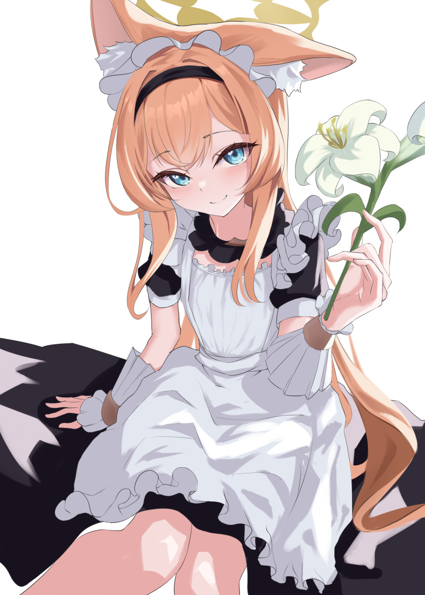 1girl absurdres alternate_costume animal_ear_fluff animal_ears apron black_dress blue_archive dress eco_mak1 enmaided flower frilled_apron frilled_dress frills hair_flower hair_ornament halo highres holding holding_flower long_hair looking_at_viewer maid maid_apron maid_headdress mari_(blue_archive) orange_hair puffy_short_sleeves puffy_sleeves short_sleeves sitting smile solo white_apron white_background wrist_wrap yellow_halo