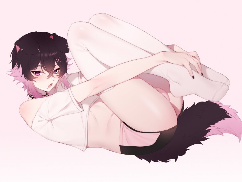 1boy absurdres animal_ears black_hair black_nails commentary crop_top dog_boy dog_ears dog_tail gomicake highres indie_virtual_youtuber joei_(vtuber) legs_up lying male_focus midriff multicolored_hair on_back open_mouth pink_hair short_shorts shorts single_bare_shoulder tail thighhighs trap virtual_youtuber white_thighhighs