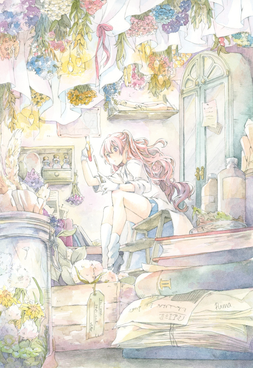 1girl absurdres blue_skirt blush cabinet closed_mouth flower flower_request gloves grey_eyes hanging_flower highres holding holding_test_tube indoors jar lab_coat long_hair long_sleeves mini_person minigirl moss oekaki_rabbits original painting_(medium) pink_hair red_ribbon ribbon roman_numeral shelf sitting skirt solo test_tube traditional_media very_long_hair vial watercolor_(medium) white_gloves