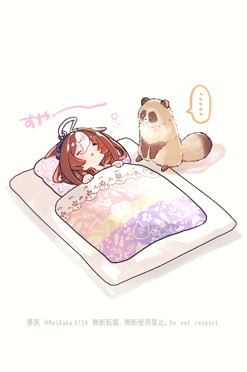 ... absurdres ahoge animal_ears blanket brown_hair closed_eyes futon hair_between_eyes highres horse_ears horse_girl looking_at_another lying meisho_doto_(umamusume) multicolored_hair on_back raccoon shadow simple_background sleeping spoken_ellipsis sugomori_tsuru_(hana_tsuru_wo) umamusume under_covers white_background white_hair