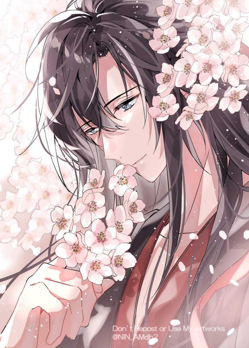 1boy bishounen black_hair black_hanfu cherry_blossoms chinese_clothes closed_mouth english_text falling_petals flower grey_eyes hair_between_eyes hair_down hair_ribbon half_updo hanfu highres holding holding_flower hyottokoane light_particles long_hair looking_down male_focus modao_zushi official_alternate_hairstyle petals pink_flower red_ribbon ribbon smile solo twitter_username upper_body wei_wuxian wei_wuxian_(yiling_laozu)