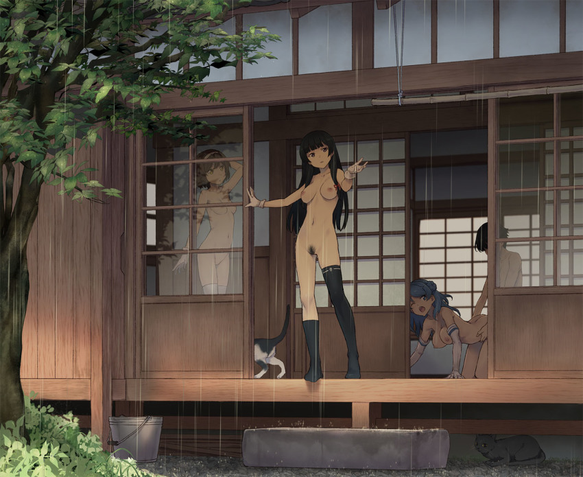 1boy 3girls ;o admiral_(kancolle) all_fours animal asymmetrical_legwear background_sex black_socks black_thighhighs blunt_bangs breasts breasts_apart brown_hair bucket casual_nudity casual_sex cat commentary_request day doggystyle double_bun elbow_gloves female_pubic_hair from_outside full_body gloves hair_bun hair_ribbon hairband hanging_breasts hetero highres hime_cut implied_sex indoors isokaze_(kancolle) japanese_house kantai_collection large_breasts legs_together long_hair medium_breasts multiple_girls nipples no_shoes nude nudist one_eye_closed open_mouth outdoors outstretched_hand porch pubic_hair rain ribbon sex sex_from_behind short_hair shouji single_sock single_thighhigh sliding_doors small_breasts socks standing takemura_sessyu tanikaze_(kancolle) thighhighs tree tress_ribbon uneven_legwear urakaze_(kancolle) veranda white_gloves white_thighhighs