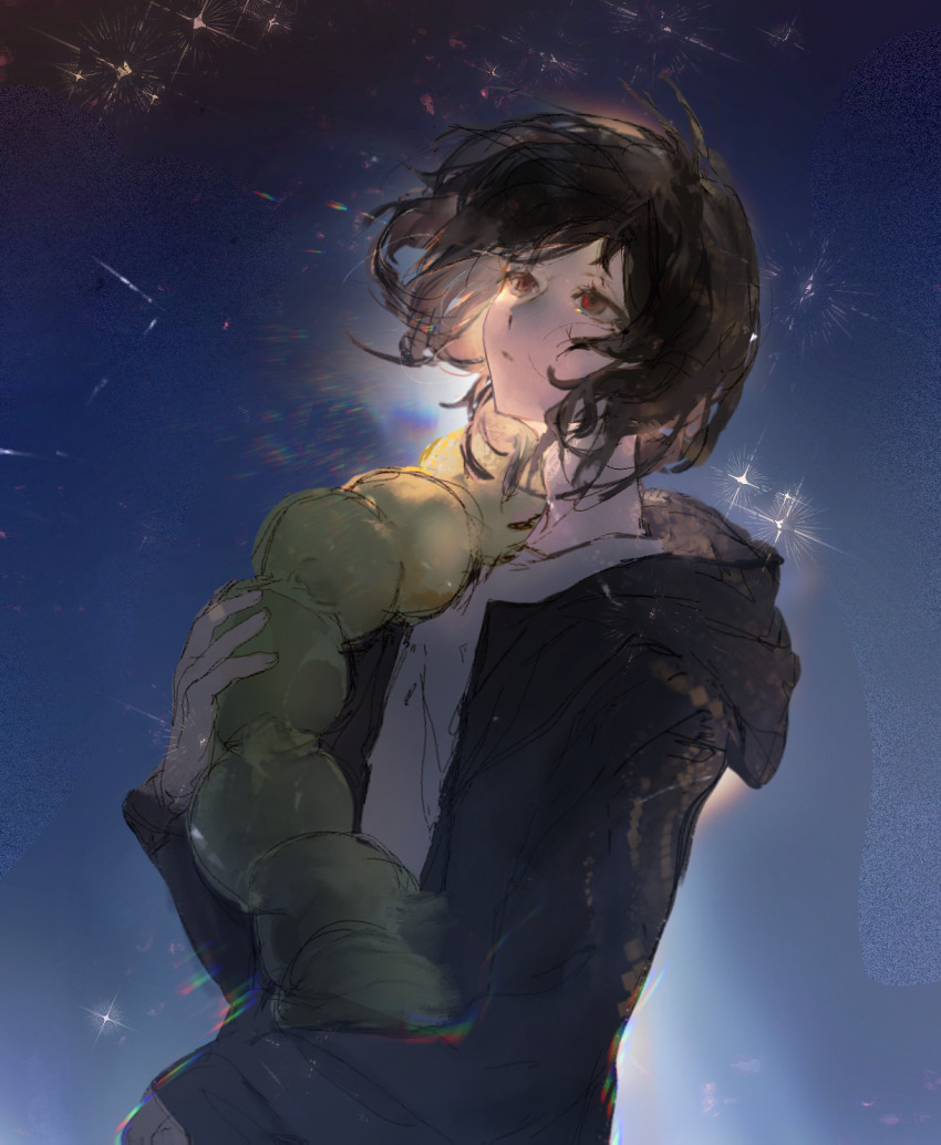 1boy black_hair black_jacket chinese_commentary commentary_request heibaihuabing highres holding holding_stuffed_toy hood hood_down hooded_jacket isoi_haruki jacket long_sleeves male_focus night night_sky outdoors red_eyes saibou_shinkyoku shirt short_hair sky solo star_(sky) stuffed_animal stuffed_toy upper_body white_shirt