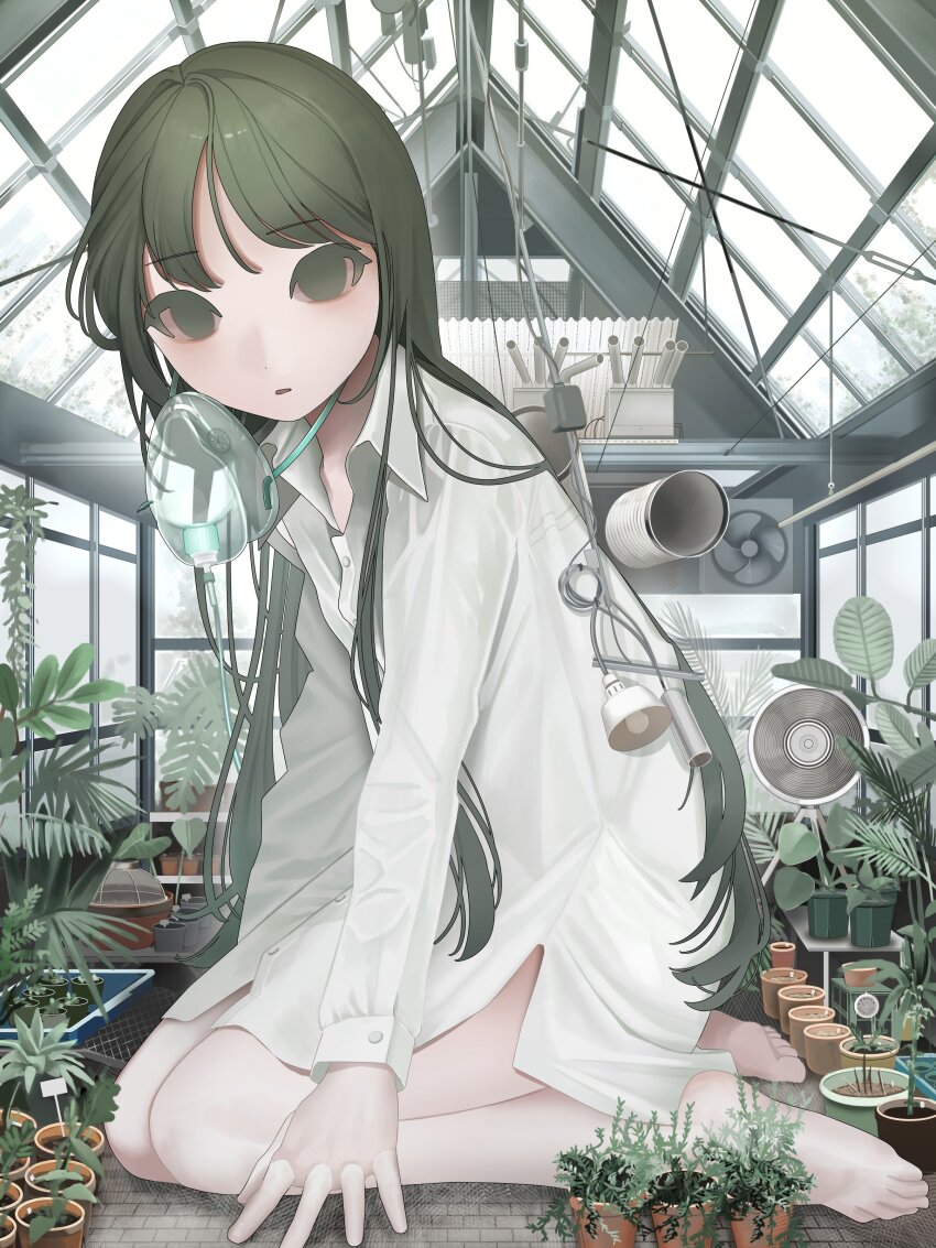 1girl absurdres barefoot box collared_shirt electric_fan expressionless full_body garden giant giantess green_eyes green_hair greenhouse highres indoors lamp long_hair long_sleeves looking_at_viewer mask naked_shirt original plant potted_plant respirator shirt sitting solo test_norma1 white_shirt window