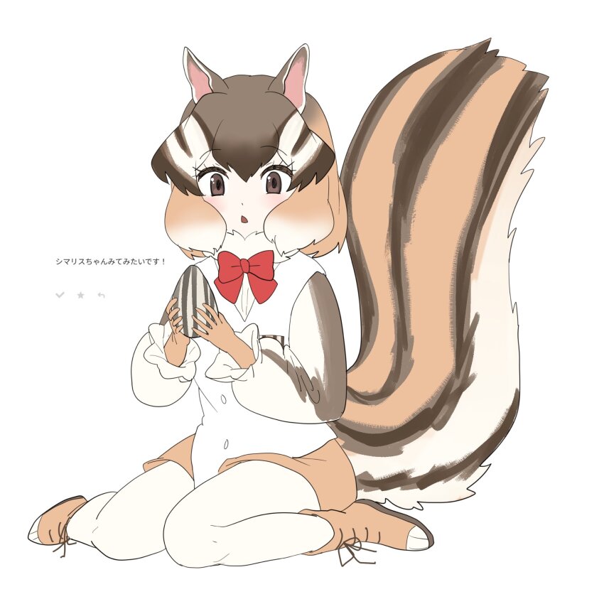 1girl :&lt; blush boots bow bowtie brown_boots brown_eyes brown_gloves brown_hair brown_shorts brown_sleeves chicha_(chi_cha_rigbo) chipmunk_ears chipmunk_girl chipmunk_tail fur_collar gloves hair_between_eyes highres kemono_friends long_sleeves multicolored_hair open_mouth puffy_sleeves red_bow red_bowtie seed short_hair short_shorts shorts siberian_chipmunk_(kemono_friends) sidelocks sitting solo sunflower_seed translation_request two-tone_sleeves vest wariza white_fur white_hair white_sleeves white_vest
