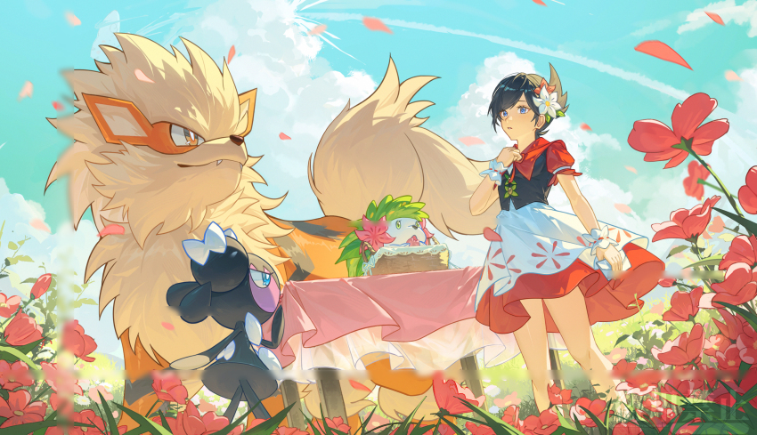arcanine basket black_hair blue_eyes blue_sky creatures_(company) fangs field flower flower_field game_freak gen_1_pokemon gen_4_pokemon gen_5_pokemon gothorita hair_flower hair_ornament hand_on_own_chest highres legendary_pokemon marley_(palentine&#039;s_2025)_(pokemon) marley_(pokemon) mythical_pokemon nintendo official_alternate_costume outdoors petals pokemon pokemon_(creature) pokemon_masters_ex shaymin shaymin_(land) short_hair sky standing table w_(wwukuai) watermark