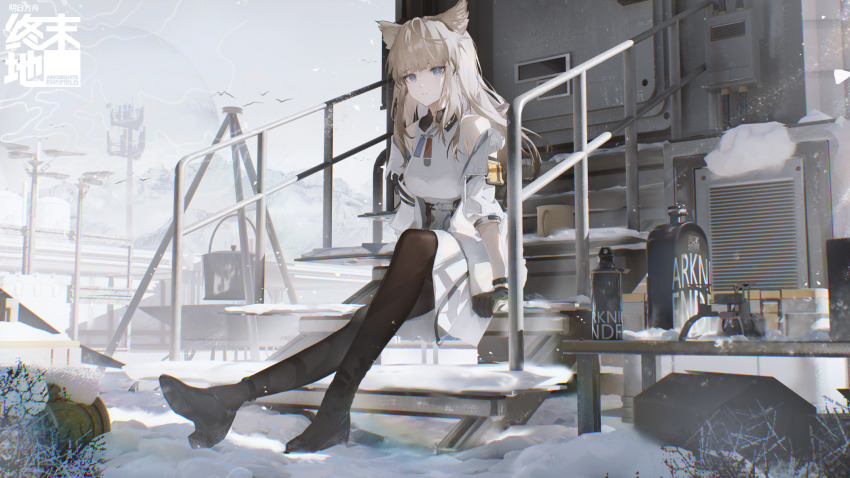 1girl animal_ears arknights arknights:_endfield bare_shoulders black_gloves black_pantyhose blue_eyes dress fashi_laizi_weilai gloves grey_hair highres jacket long_hair looking_at_viewer off_shoulder open_clothes open_jacket outdoors pantyhose perlica_(arknights) sitting sitting_on_stairs sleeveless sleeveless_dress snow solo stairs white_dress white_jacket wide_shot