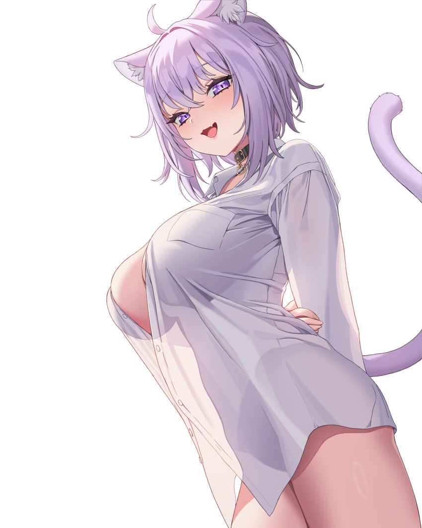 1girl absurdres animal_collar animal_ear_fluff animal_ears black_collar blush breasts cat_ears cat_girl cat_tail collar commentary highres hololive large_breasts looking_at_viewer naked_shirt nekomata_okayu nekomata_okayu_(oversized_shirt) official_alternate_costume open_mouth purple_eyes purple_hair purple_tail see-through_clothes see-through_shirt shirt short_hair simple_background smile solo tail thighs virtual_youtuber white_background white_shirt yan.c