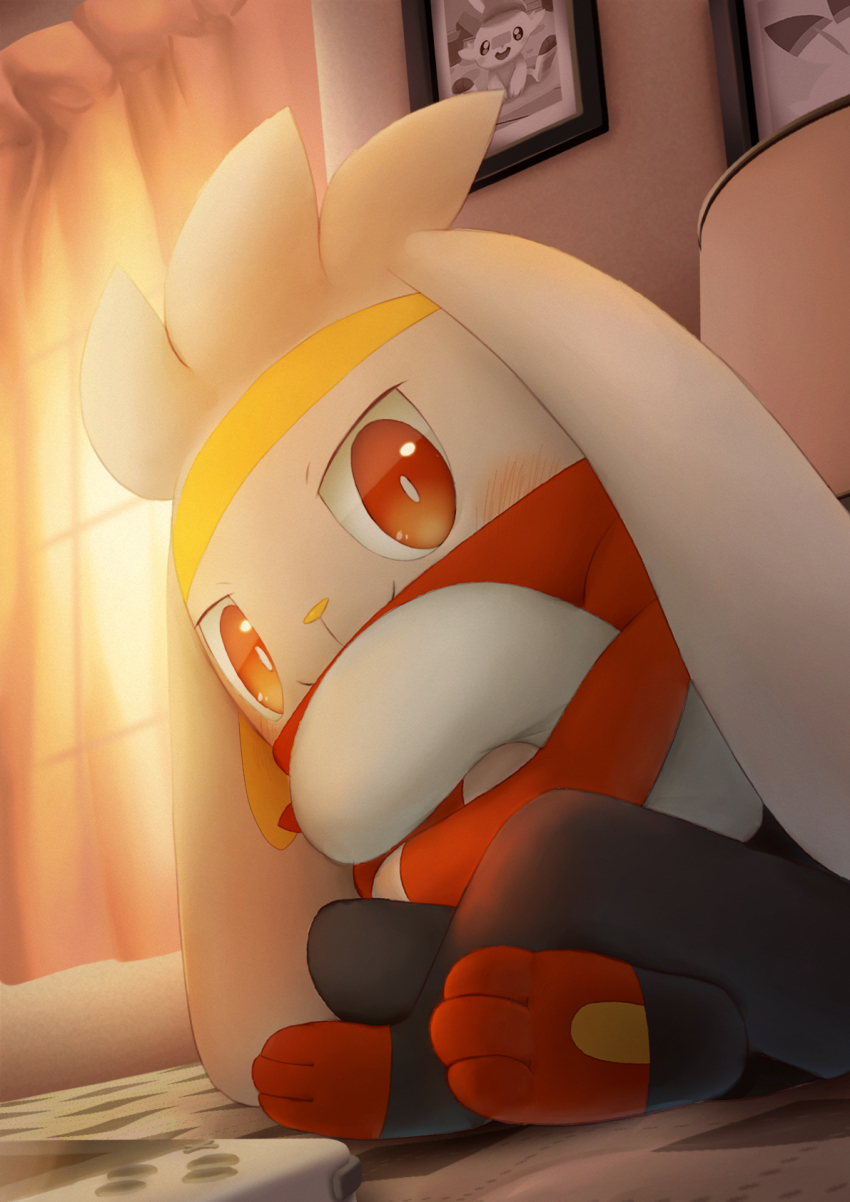 blush bright_pupils closed_mouth commentary_request creatures_(company) curtains from_below game_freak gen_8_pokemon highres indoors looking_at_viewer nintendo no_humans photo_(object) pokemon pokemon_(creature) purobe raboot red_eyes scorbunny sitting smile toes white_pupils