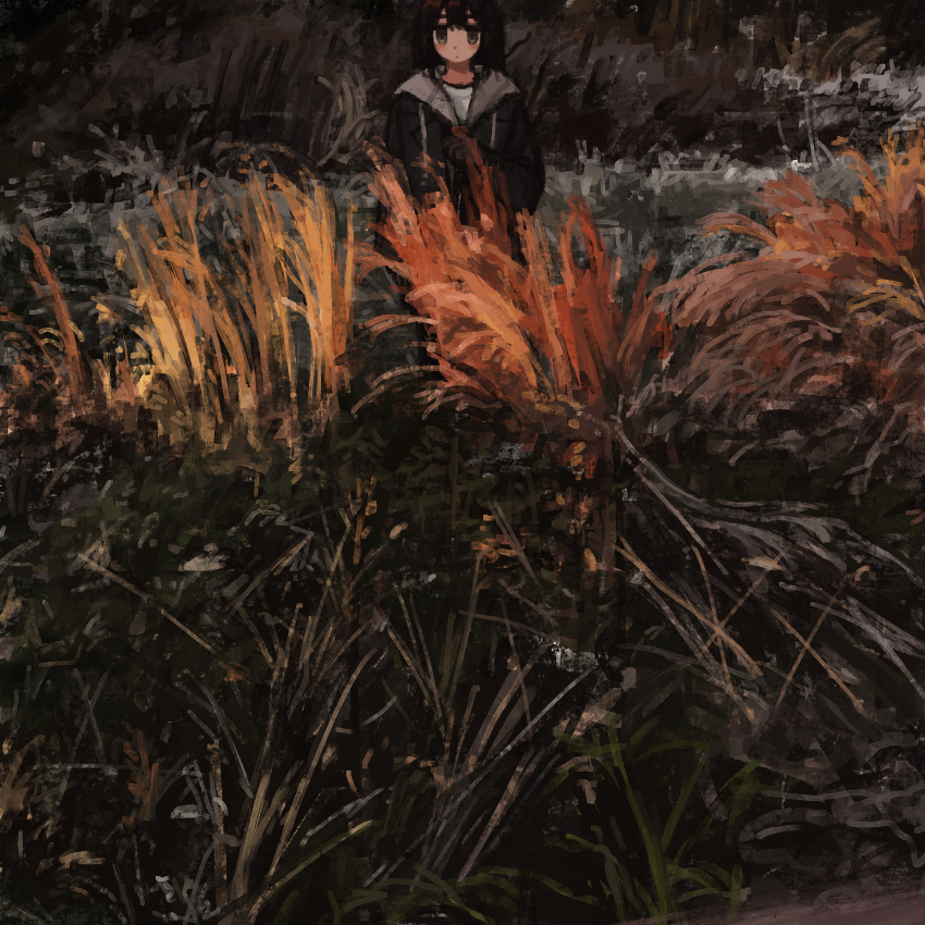 1girl absurdres arm_at_side black_eyes black_gloves black_hair black_hoodie commentary_request evening expressionless gloves grass hand_up highres hood hood_down hoodie long_sleeves looking_at_viewer medium_hair nature original outdoors scenery shirt solo standing susuki_grass tall_grass uniunimikan white_shirt wide_shot